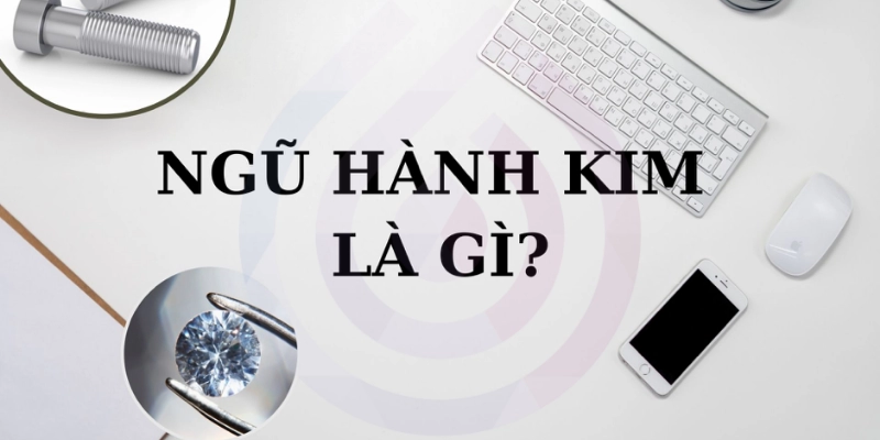 Hành Kim Là Gì