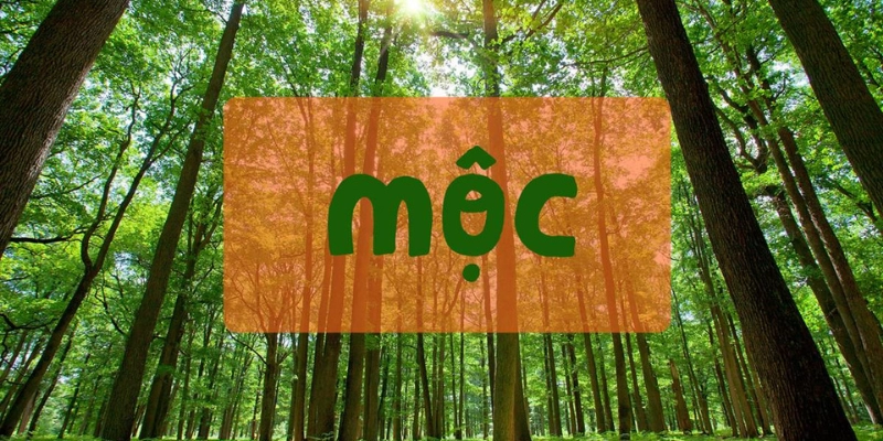 Hành Mộc Là Gì