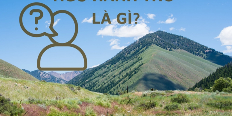 Hành Thổ Là Gì? Ý Nghĩa, Ứng Dụng Và Sức Ảnh Hưởng Trong Đời Sống 2 Hành Thổ Là Gì