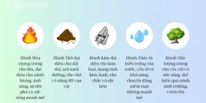 Lịch Sử Phát Triển Ngũ Hành