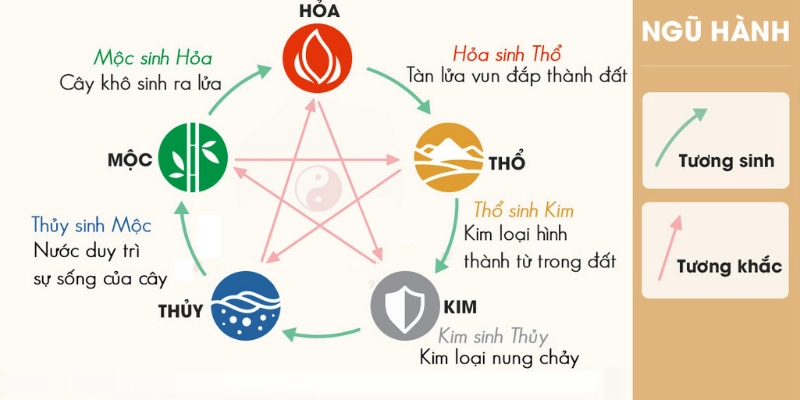 Ngũ Hành Trong Đông Y