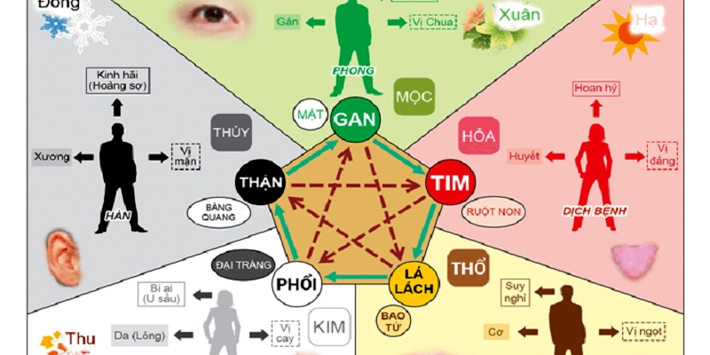 Ngũ Hành Trong Triết Học Phương Đông