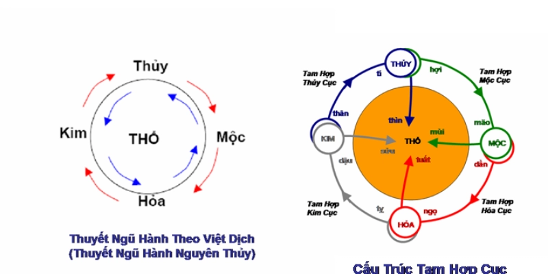 Ngũ Hành Trong Tử Vi
