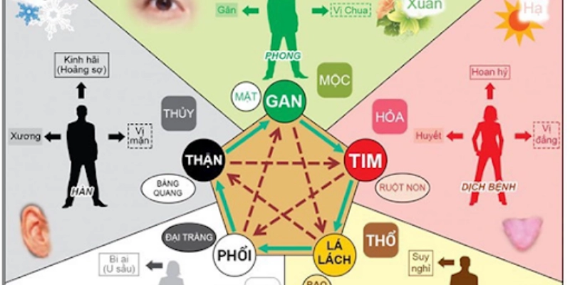 Ngũ Hành Và Ngũ Cục Trong Tử Vi: Cách Hiểu Và Ứng Dụng Thực Tiễn 3 Ngũ Hành Và Ngũ Cục Trong Tử Vi