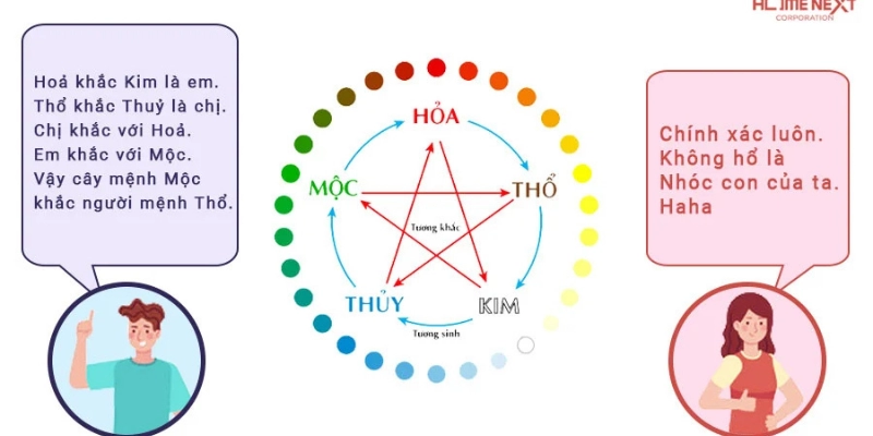 Sử Dụng Cây Cảnh Hợp Ngũ Hành