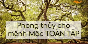 Tính Cách Người Mệnh Mộc