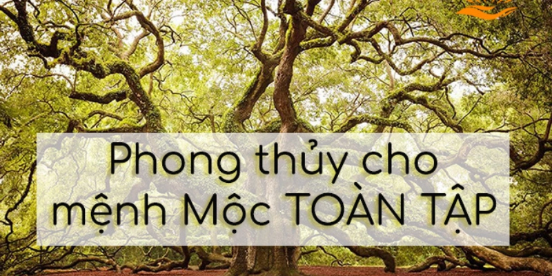 Tính Cách Người Mệnh Mộc