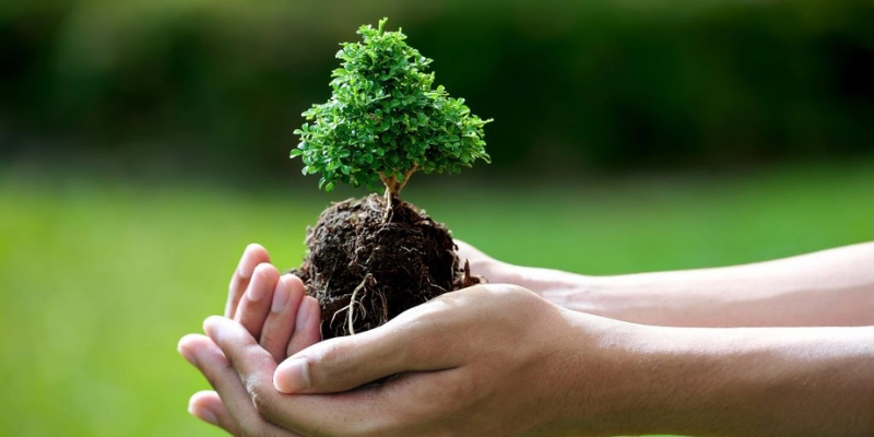 Tính Cách Người Mệnh Mộc: Giải Mã Từng Khía Cạnh Độc Đáo Và Ứng Dụng 4 Tính Cách Người Mệnh Mộc
