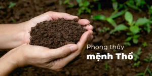 Tính Cách Người Mệnh Thổ