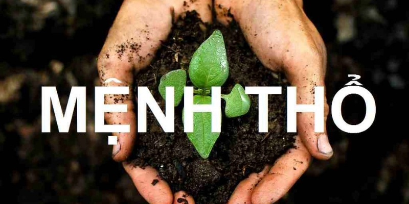 Tính Cách Người Mệnh Thổ: Khám Phá Đặc Trưng Và Ứng Dụng Năm 2025 4 Tính Cách Người Mệnh Thổ