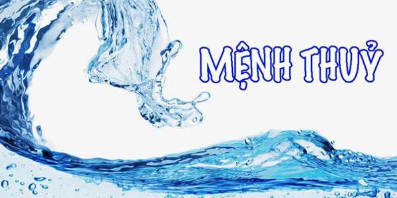 Tính Cách Người Mệnh Thủy: Khám Phá Bản Chất, Sức Hút Và Lời Khuyên 4 Tính Cách Người Mệnh Thủy