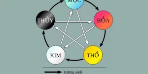 Ứng Dụng Ngũ Hành Trong Đời Sống