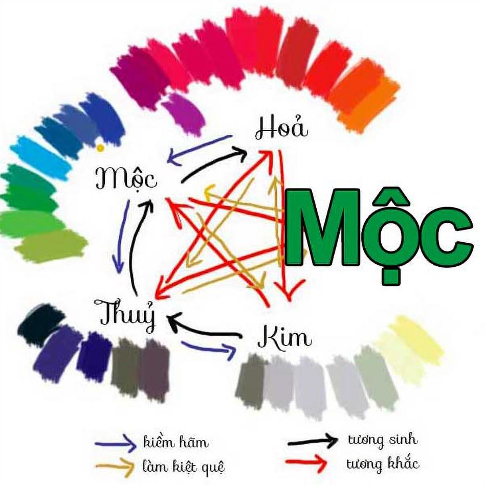 Màu chủ đạo mệnh Mộc là gì