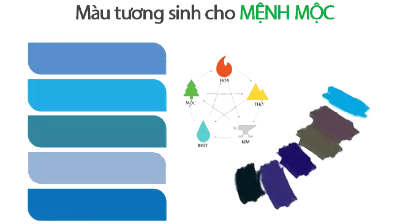 Các màu tương sinh mệnh Mộc phổ biến