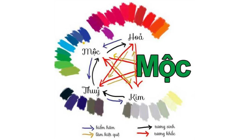 Màu Tương Sinh Mệnh Mộc: Giải Mã Ý Nghĩa, Ứng Dụng 2 Màu tương sinh mệnh Mộc là gì?