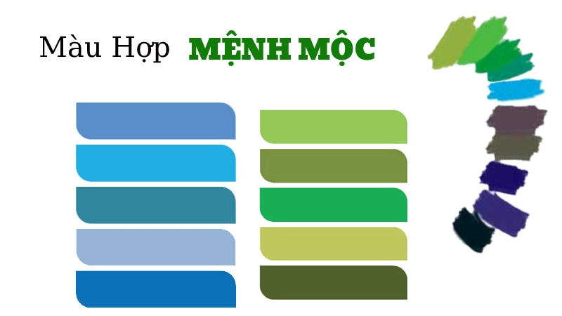 Những lưu ý khi chọn và phối màu tương sinh cho mệnh Mộc