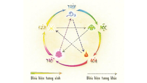 Nguyên Tắc Âm Dương Ngũ Hành Tên Theo FiveElements