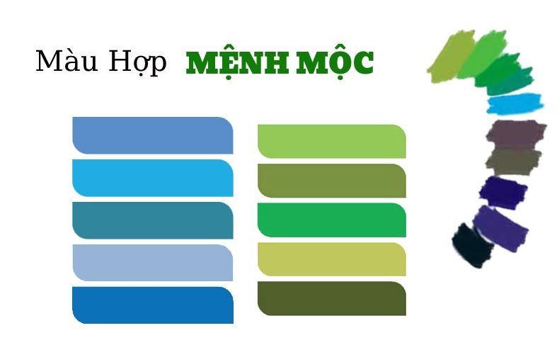 Ý nghĩa màu chủ đạo mệnh Mộc trong phong thủy