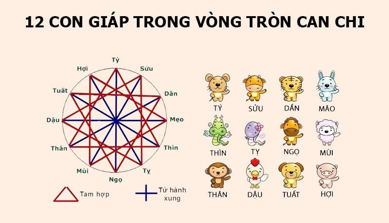 Đặt Tên Theo Mệnh Cung Và Mệnh Niên - Gắn Kết Số Mệnh 3 Cách đặt tên theo Mệnh Cung và Mệnh Niên chuẩn nhất 2025